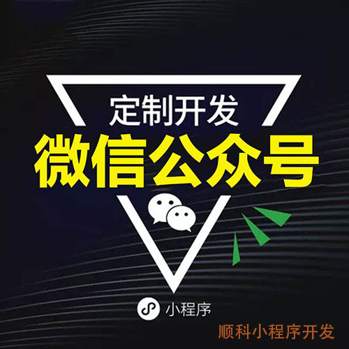 深圳小程序网站开发总结，小程序入口大全